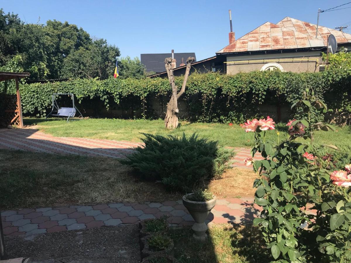 Teachers Farm stay
