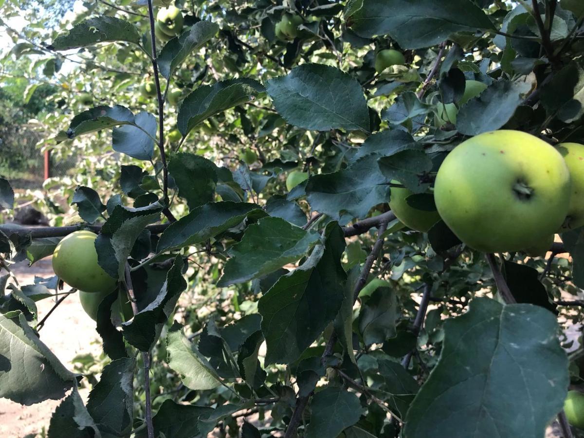 Farm stay Teachers *