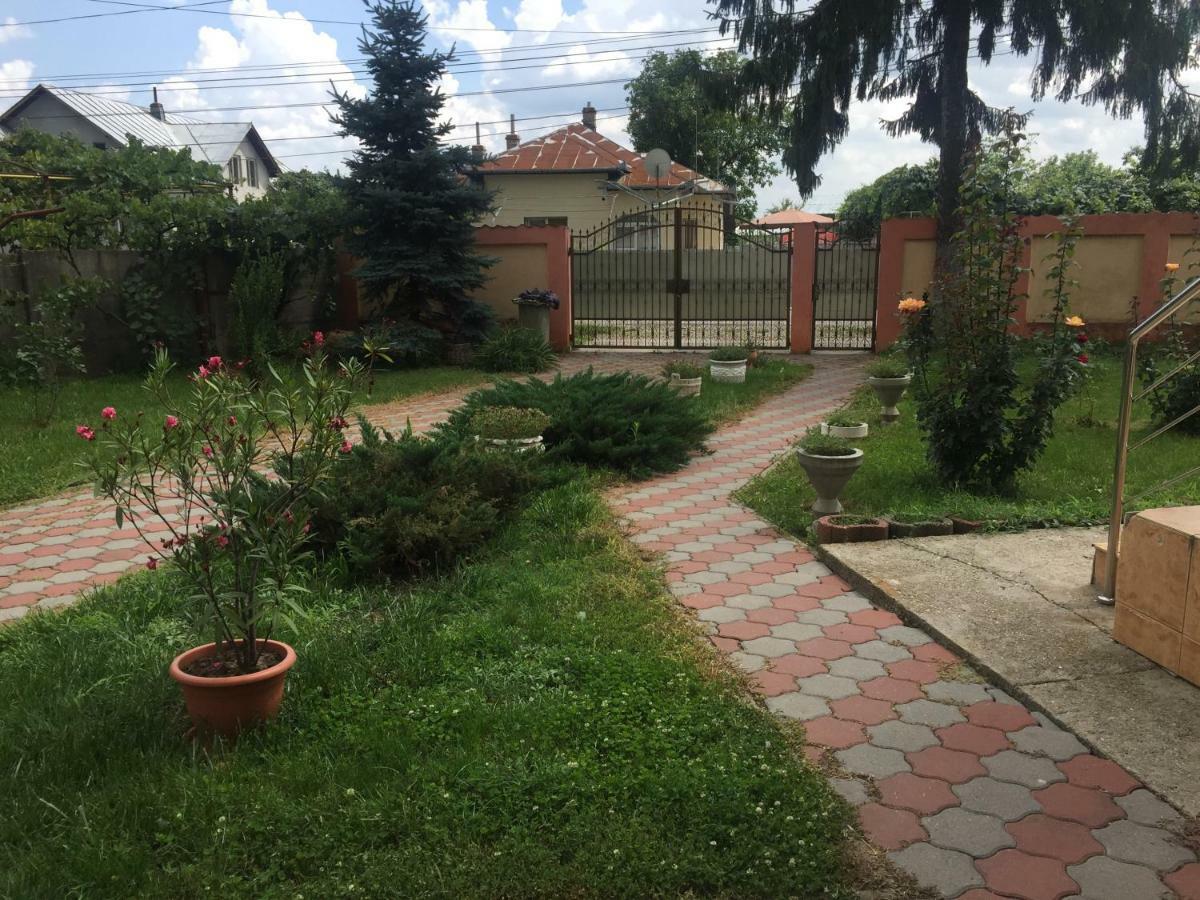 Teachers Farm stay Darmanesti (Dambovita)