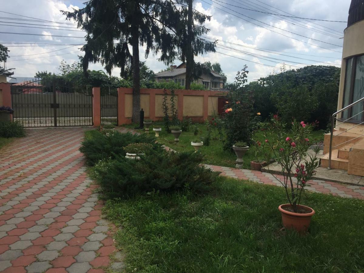 Teachers Darmanesti (Dambovita)